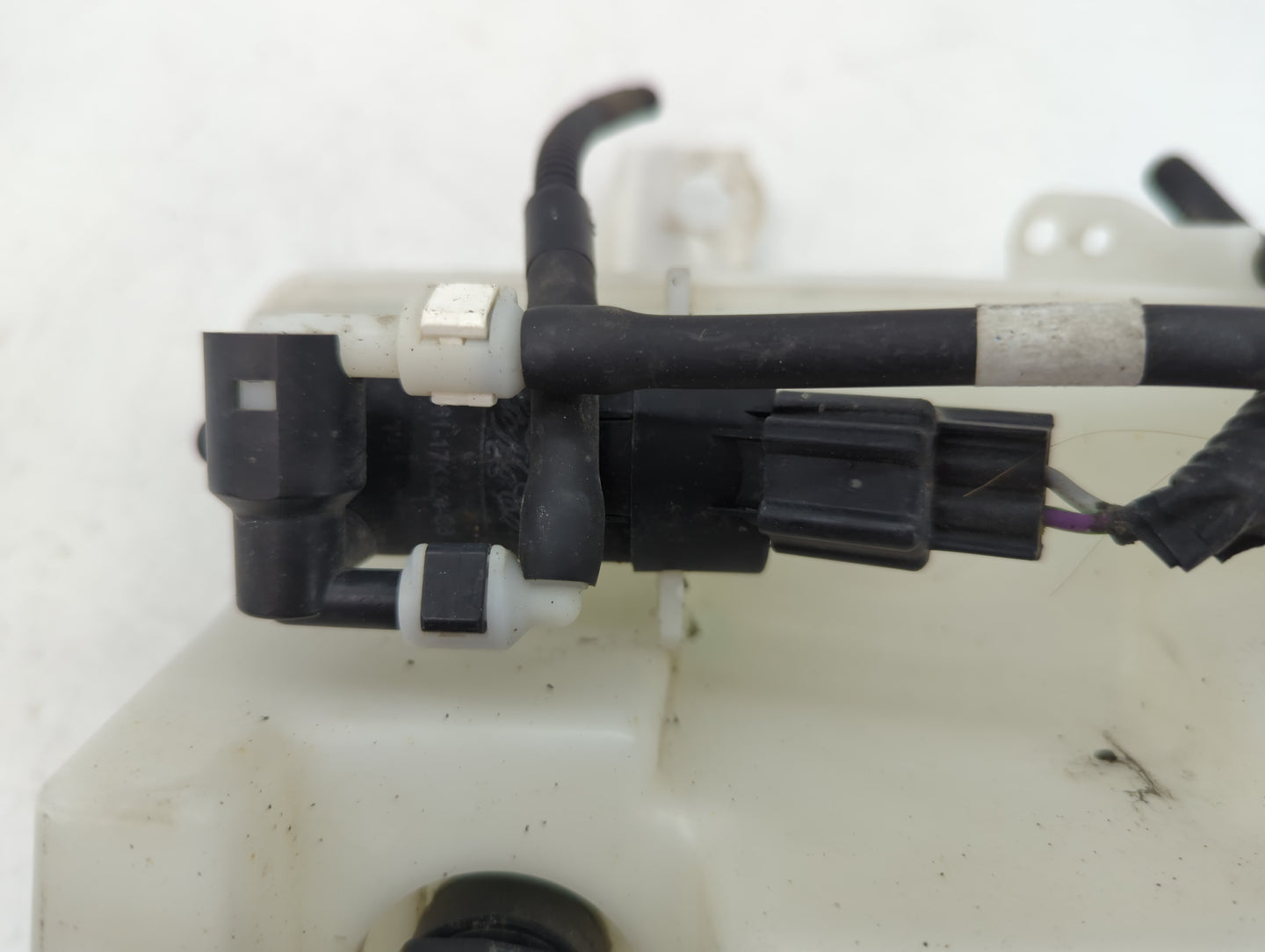 2012-2018 Ford Focus Windshield Washer Fluid Reservoir Bottle Oem - Oemusedautoparts1.com