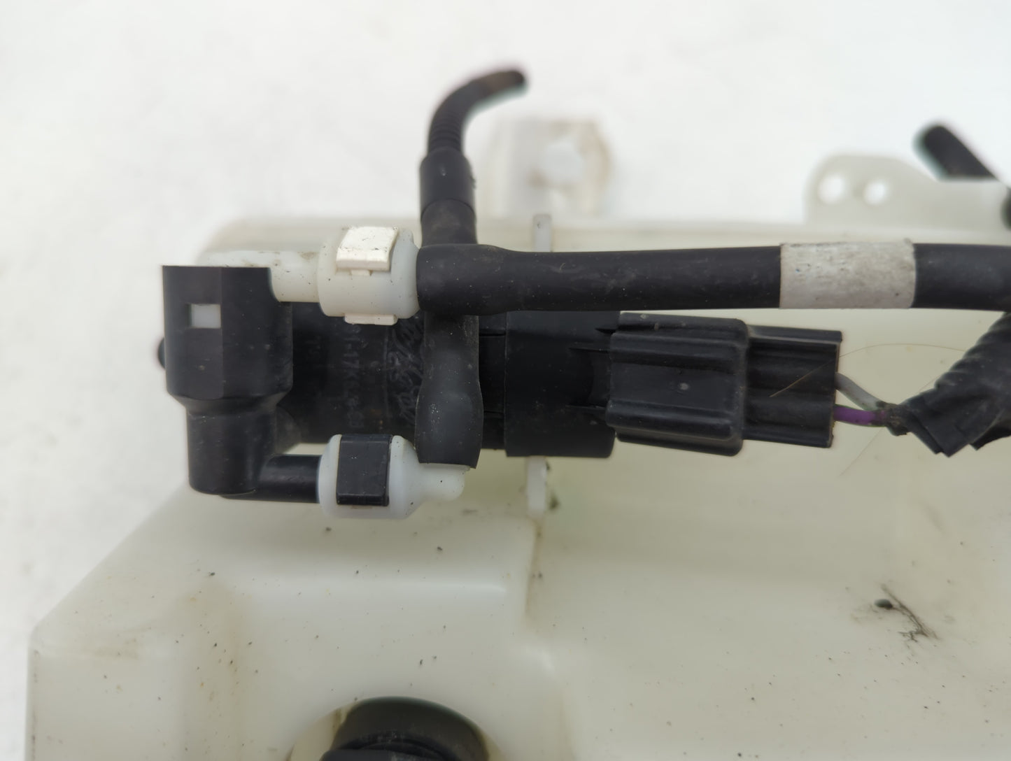 2012-2018 Ford Focus Windshield Washer Fluid Reservoir Bottle Oem - Oemusedautoparts1.com