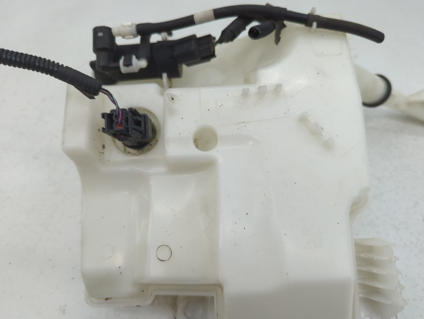 2012-2018 Ford Focus Windshield Washer Fluid Reservoir Bottle Oem - Oemusedautoparts1.com