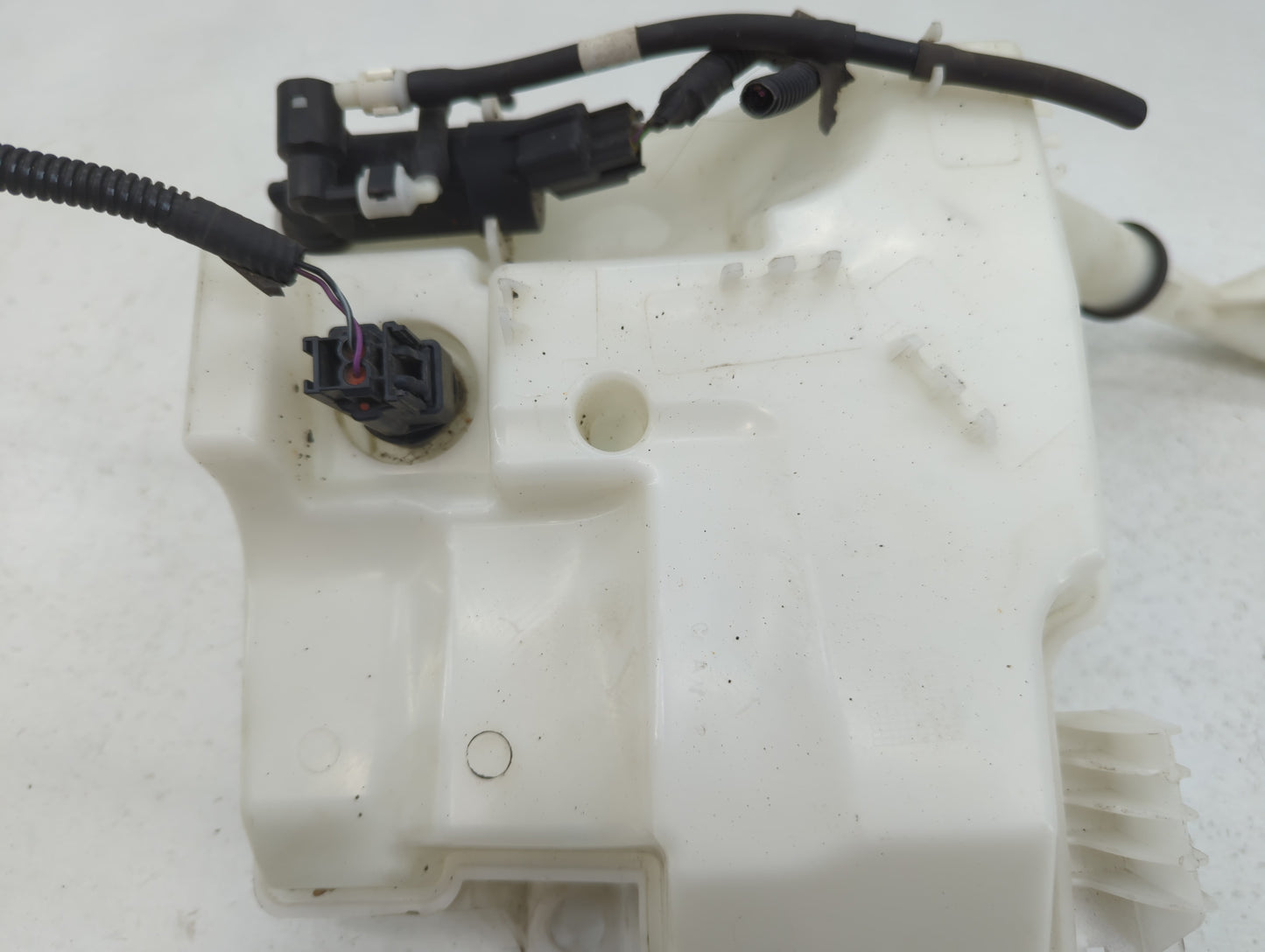 2012-2018 Ford Focus Windshield Washer Fluid Reservoir Bottle Oem - Oemusedautoparts1.com