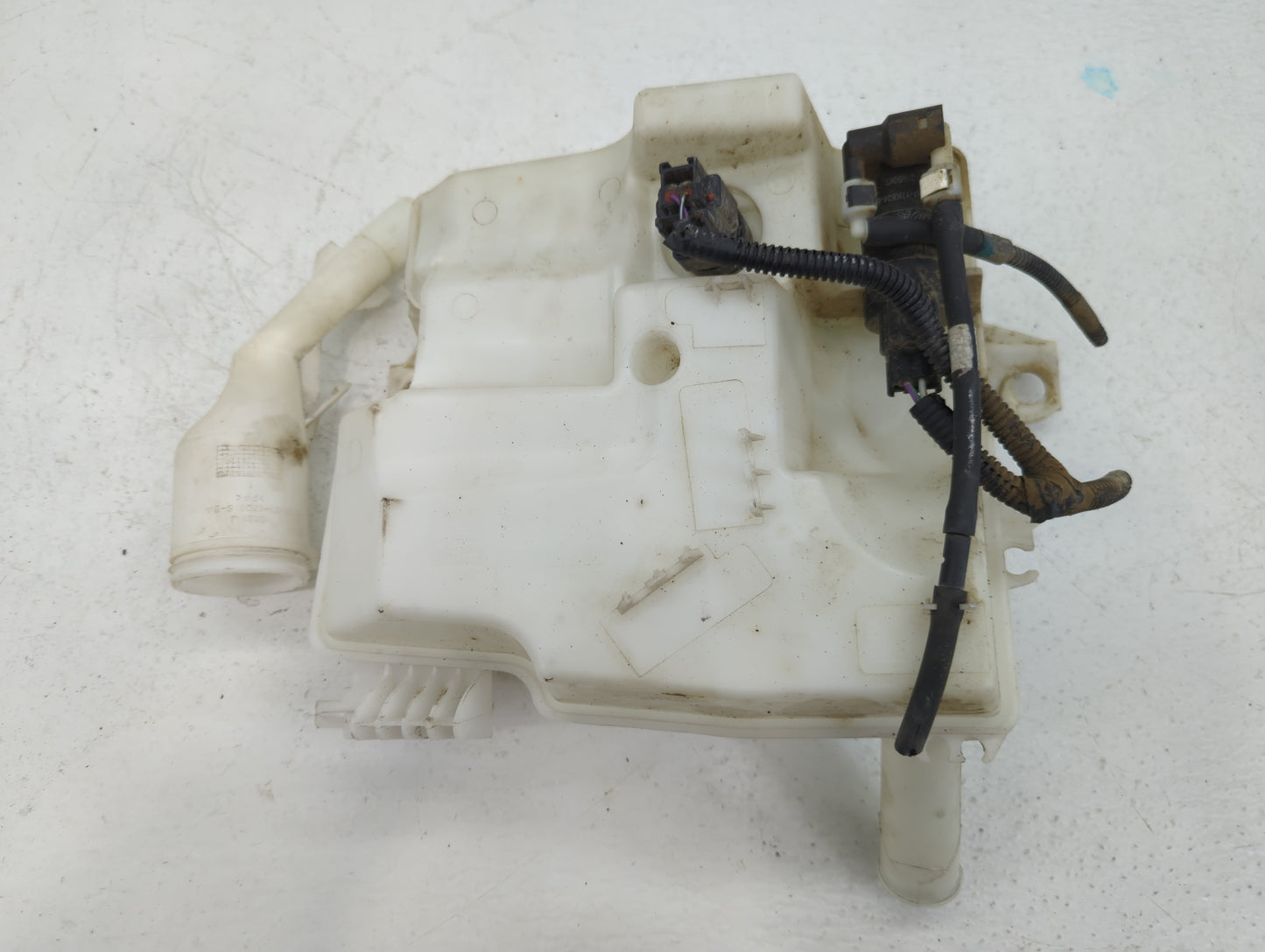 2012-2018 Ford Focus Windshield Washer Fluid Reservoir Bottle Oem - Oemusedautoparts1.com