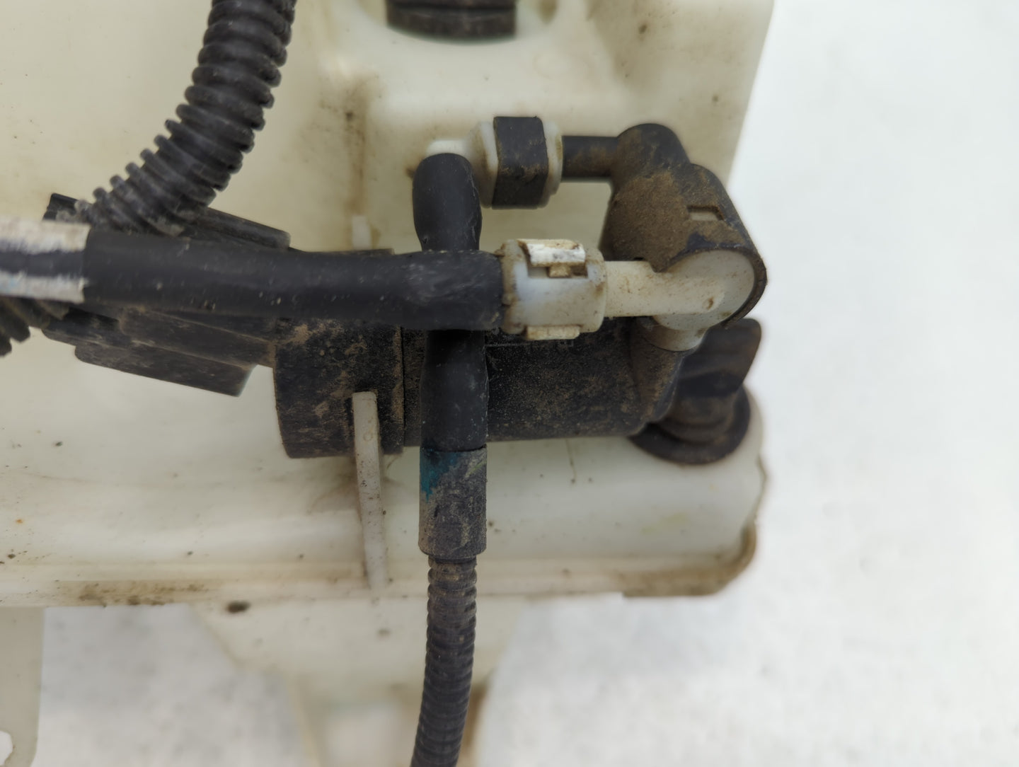 2012-2018 Ford Focus Windshield Washer Fluid Reservoir Bottle Oem - Oemusedautoparts1.com