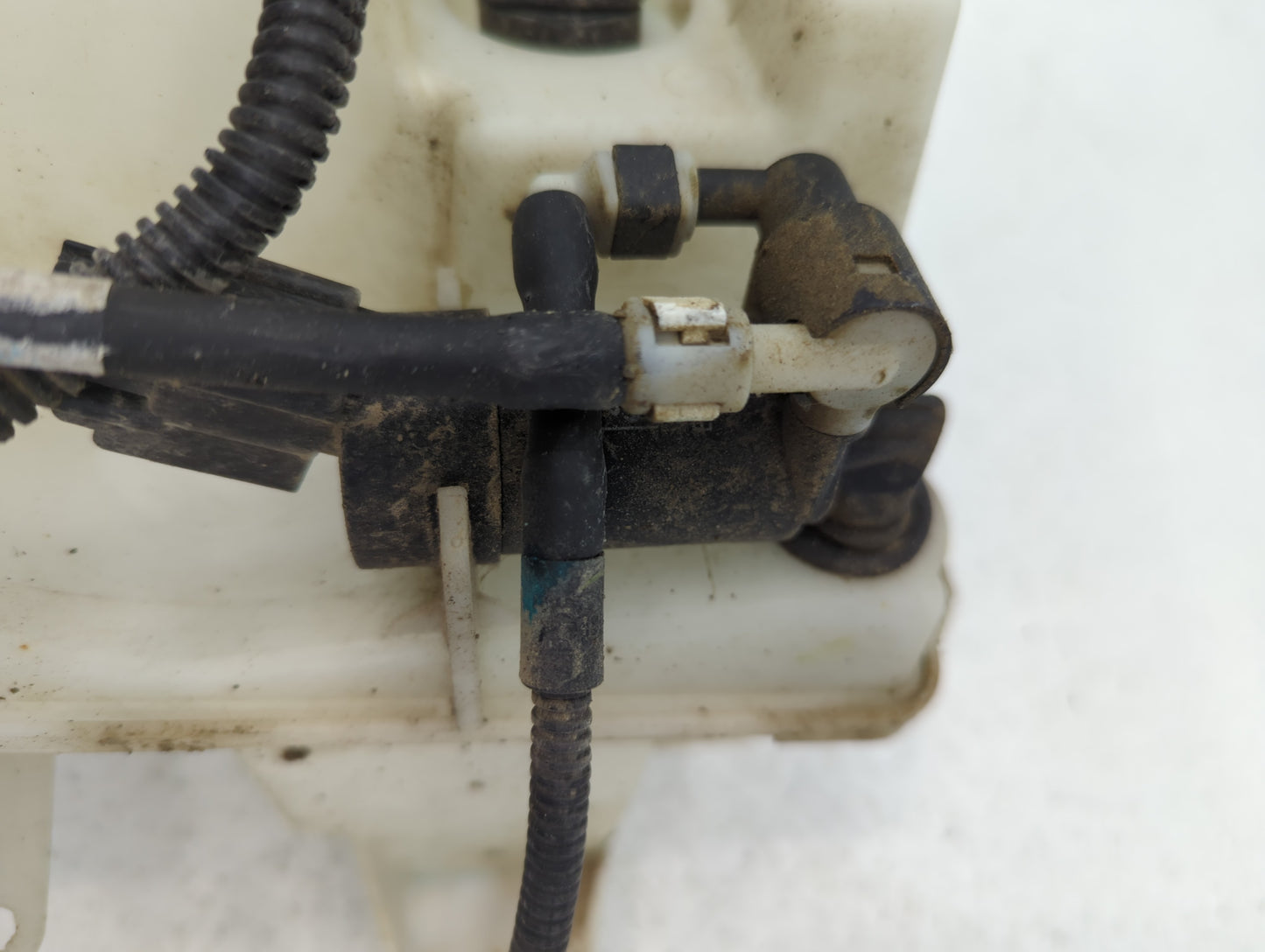 2012-2018 Ford Focus Windshield Washer Fluid Reservoir Bottle Oem - Oemusedautoparts1.com