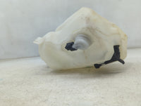 2013-2019 Ford Taurus Windshield Washer Fluid Reservoir Bottle Oem 1473580 - Oemusedautoparts1.com