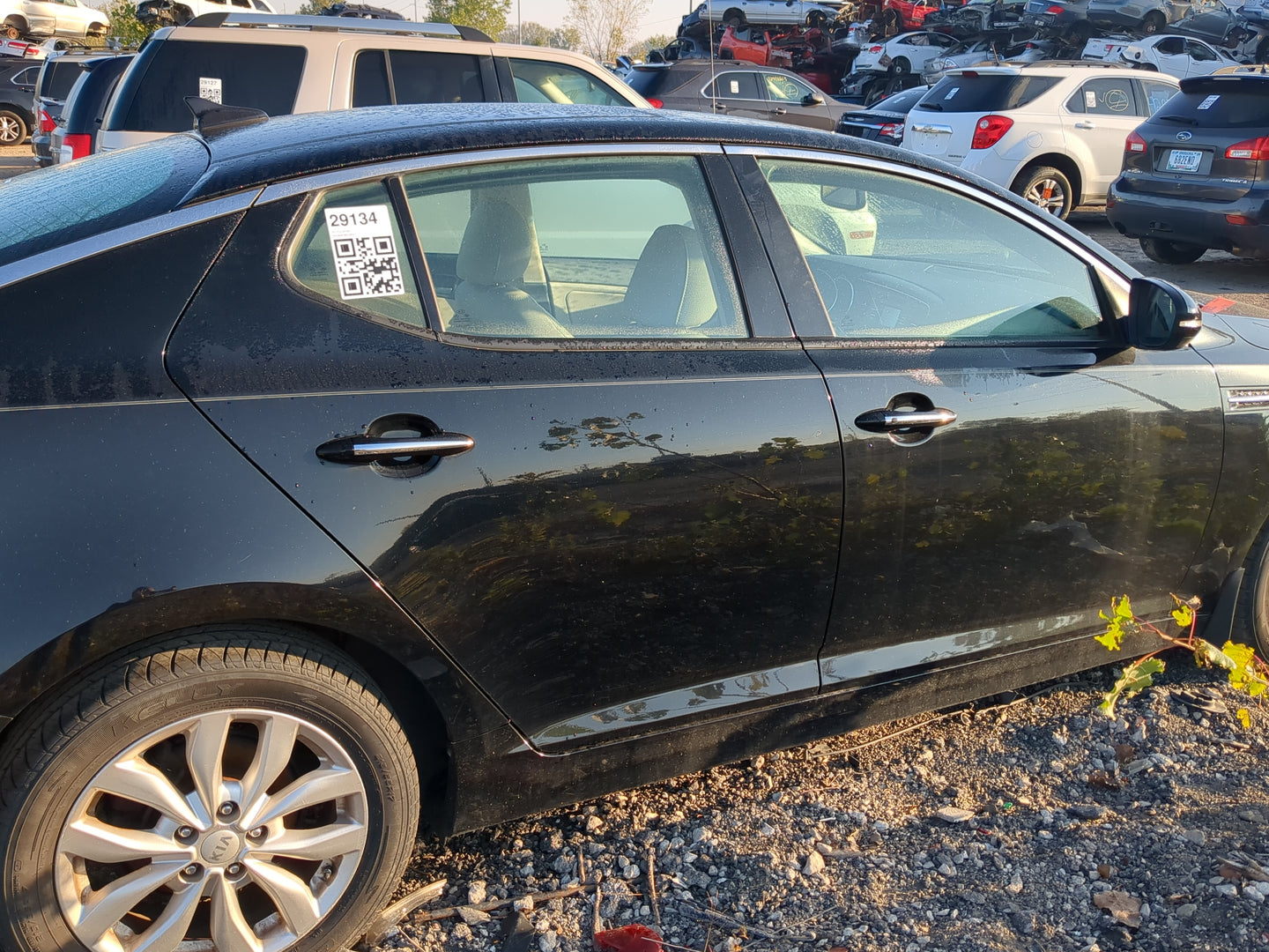 2011-2015 Kia Optima Passenger Rear Door Oem - Oemusedautoparts1.com