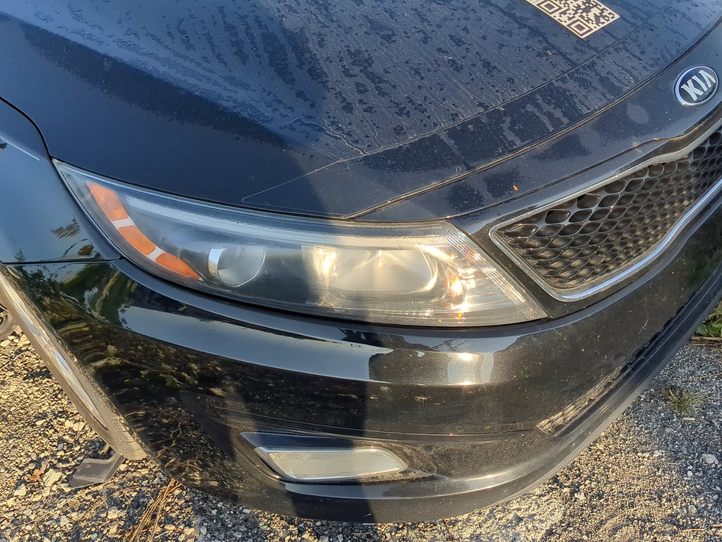 2014-2015 Kia Optima Passenger Right Oem Head Light Headlight Lamp - Oemusedautoparts1.com