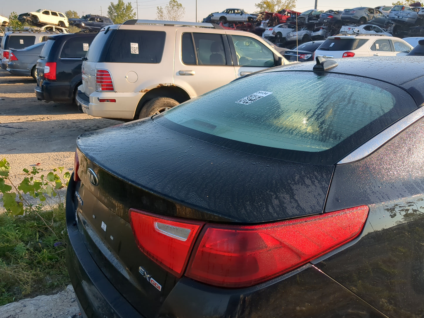 2014-2015 Kia Optima Trunk/decklid/hatch/tailgate Oem - Oemusedautoparts1.com
