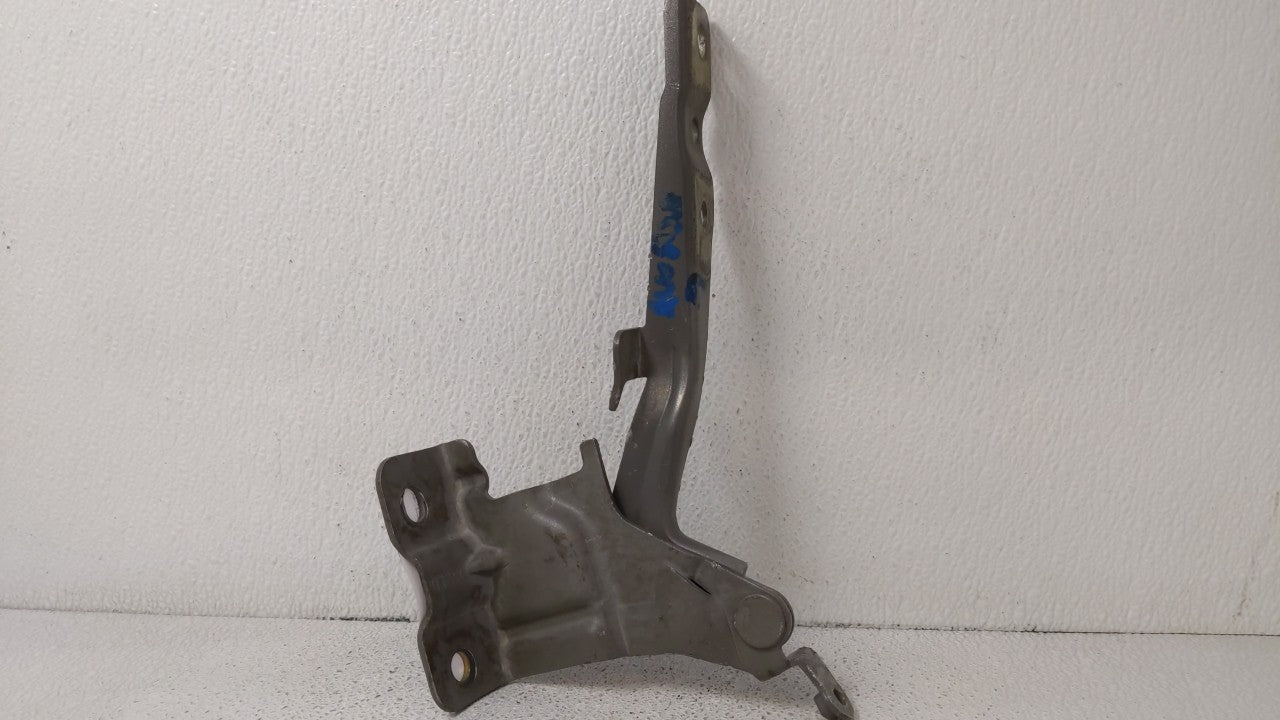 2014 Kia Sorento Driver Hood Hinge - Oemusedautoparts1.com