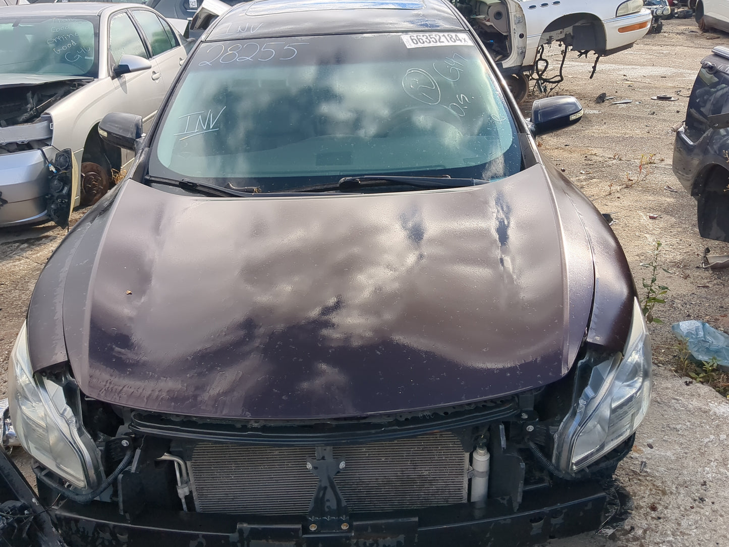 2014 Nissan Maxima Hood Oem - Oemusedautoparts1.com