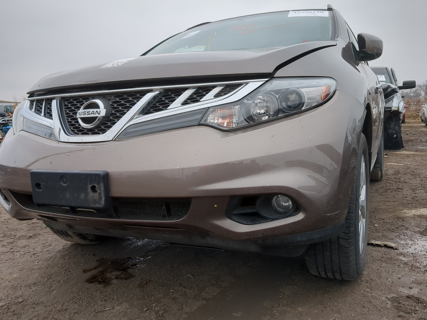 2011-2014 Nissan Murano Front Bumper - Oem - Oemusedautoparts1.com