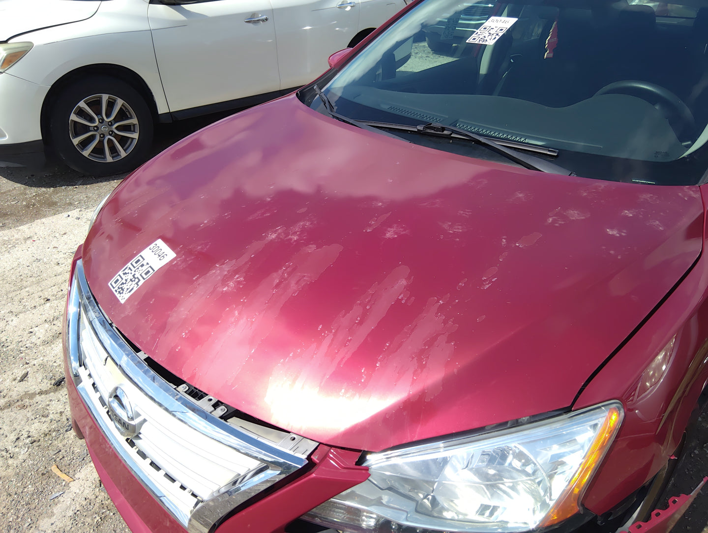 2013-2015 Nissan Sentra Hood Oem - Oemusedautoparts1.com