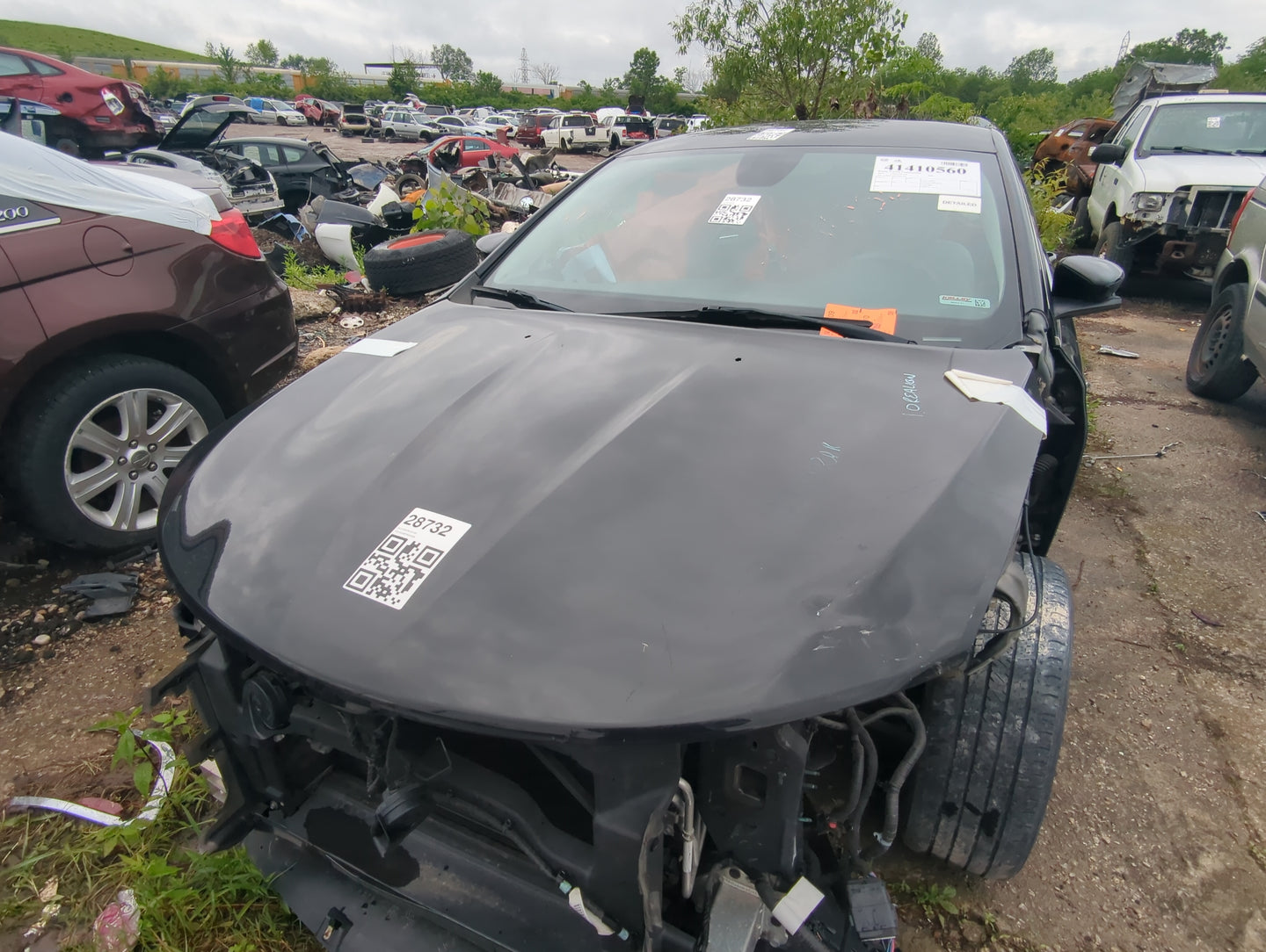 2015-2017 Chrysler 200 Hood Oem - Oemusedautoparts1.com