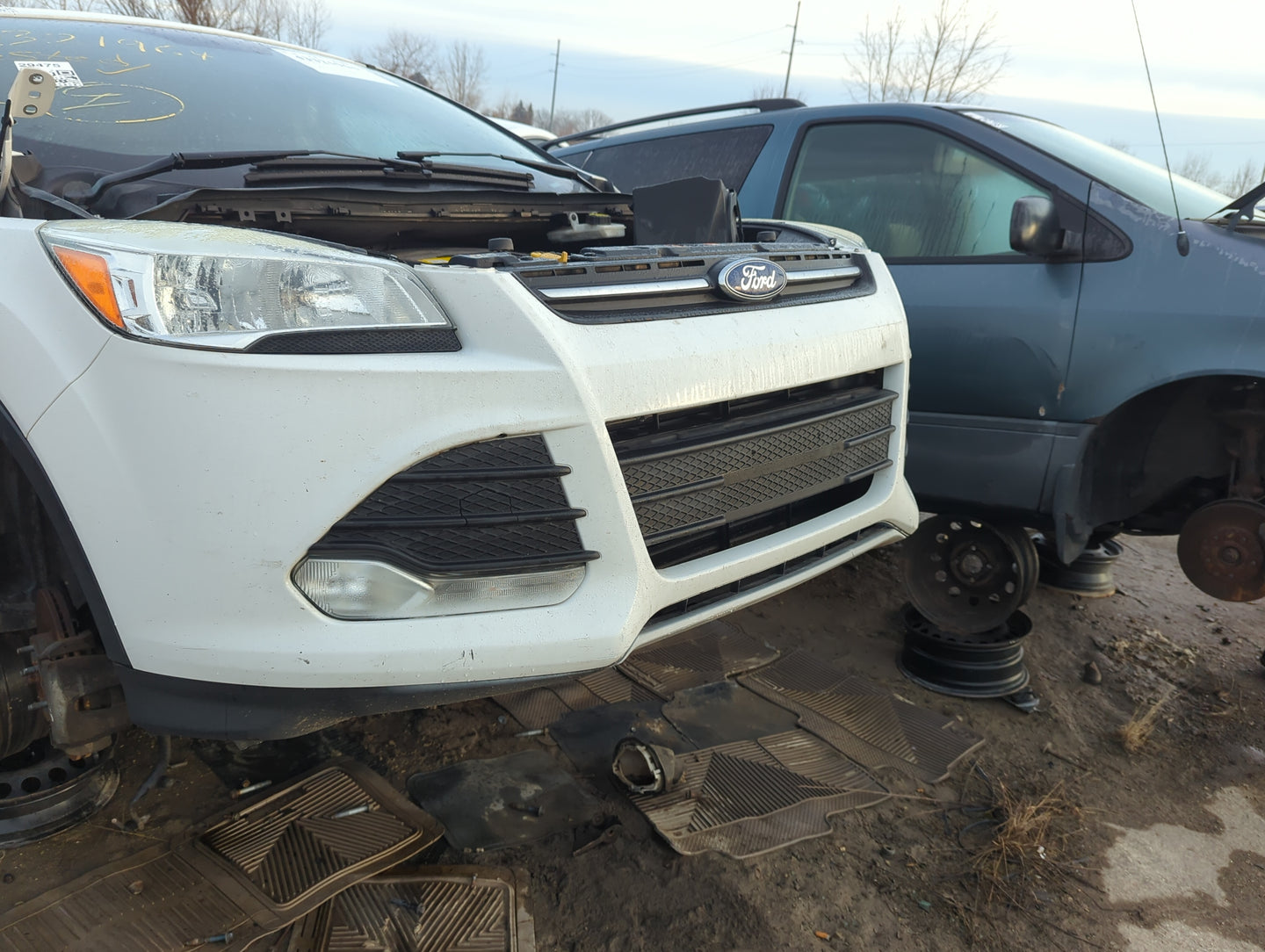 2013-2016 Ford Escape Front Grille Bumper Not Included 1262699 - Oemusedautoparts1.com