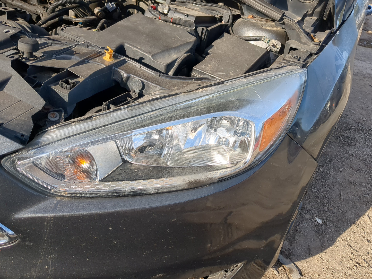 2015 Ford Focus Driver Left Oem Head Light Headlight Lamp 1184625 - Oemusedautoparts1.com