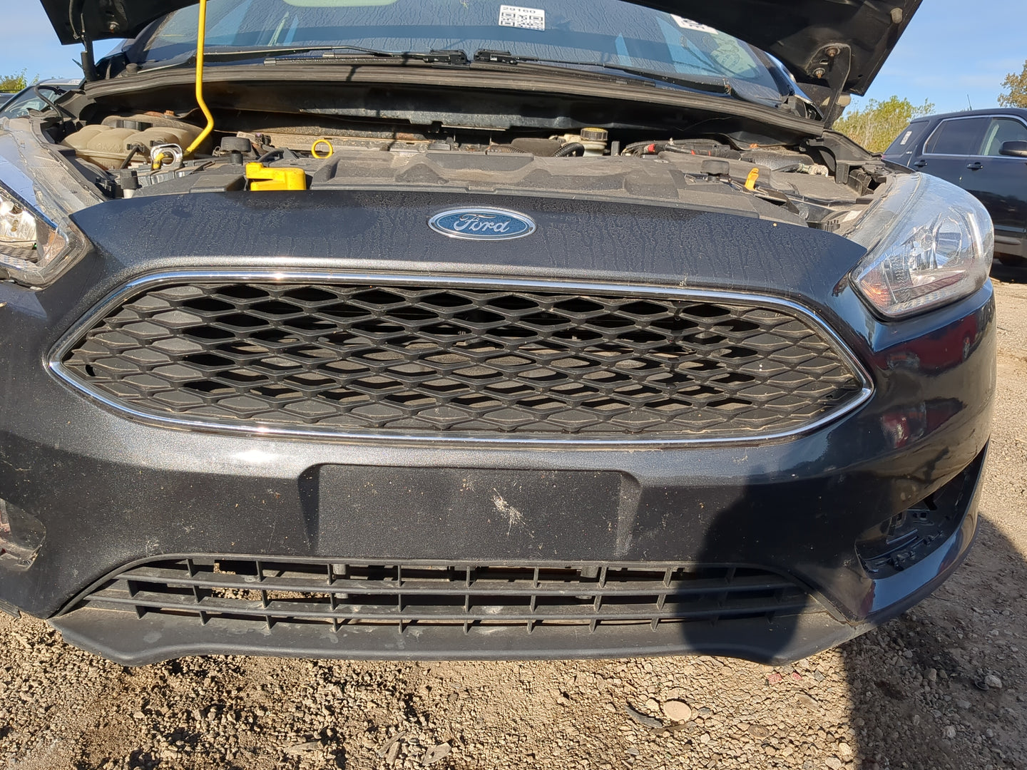 2012-2018 Ford Focus Front Grille Bumper Not Included - Oemusedautoparts1.com