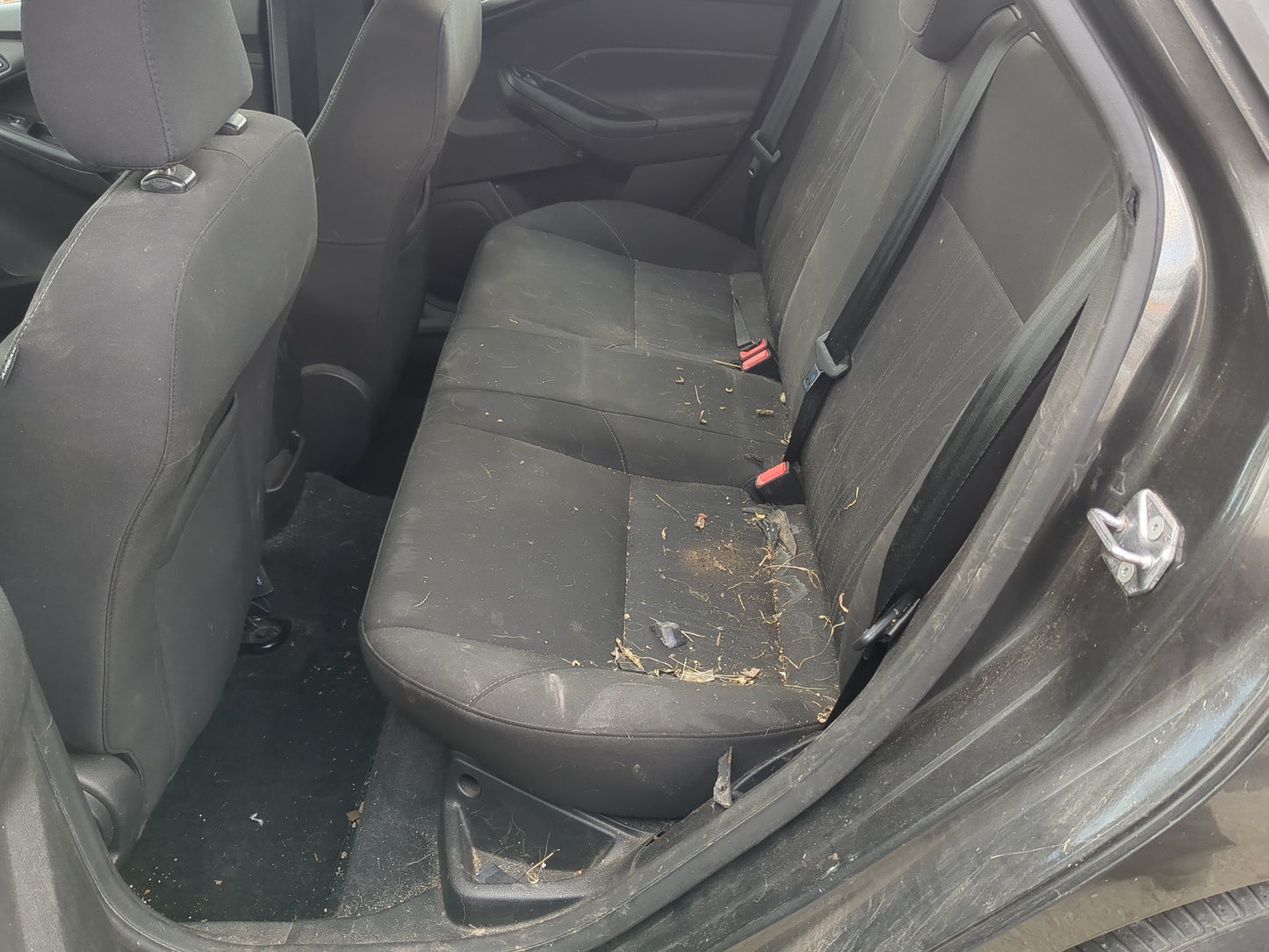 2015 Ford Focus Rear Seat Oem - Oemusedautoparts1.com