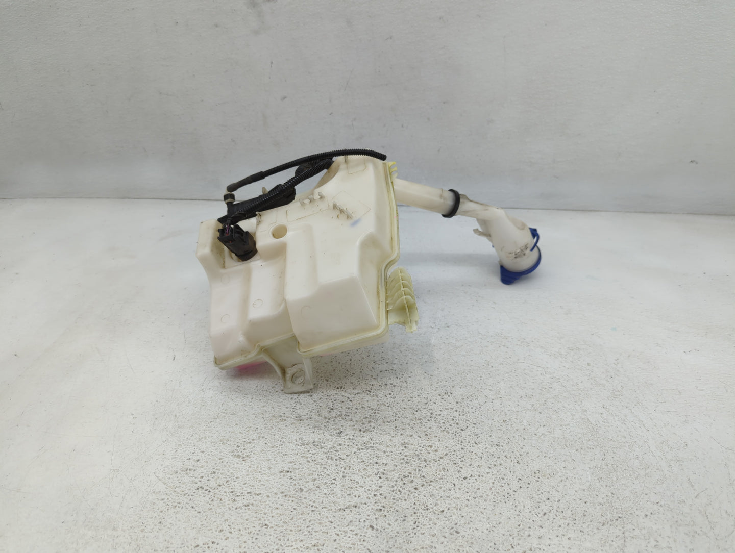 2012-2018 Ford Focus Windshield Washer Fluid Reservoir Bottle Oem - Oemusedautoparts1.com