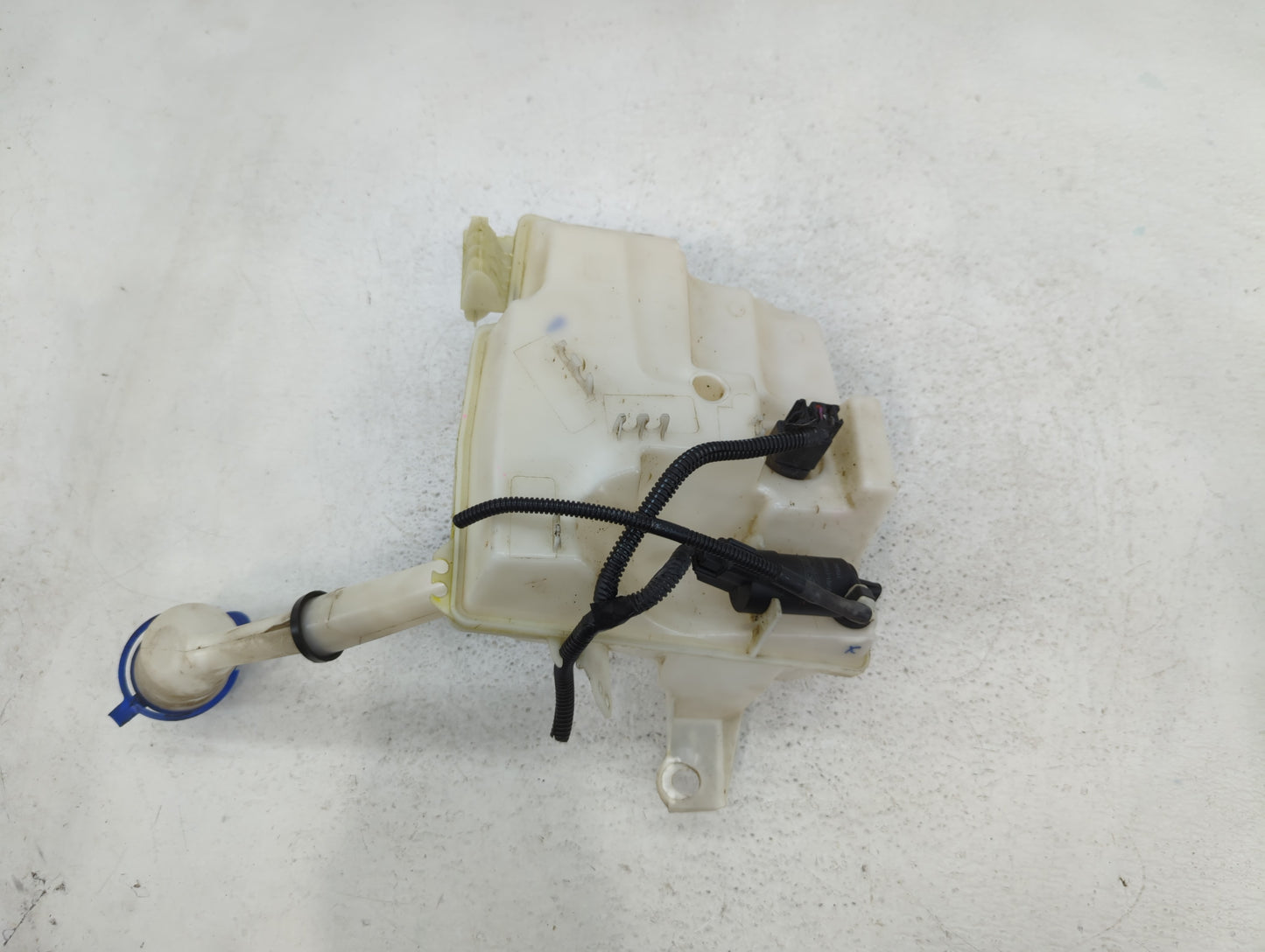 2012-2018 Ford Focus Windshield Washer Fluid Reservoir Bottle Oem - Oemusedautoparts1.com