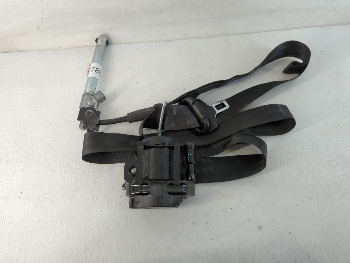 2015 Ford Focus Passenger Rear Seatbelt Buckle - Oemusedautoparts1.com