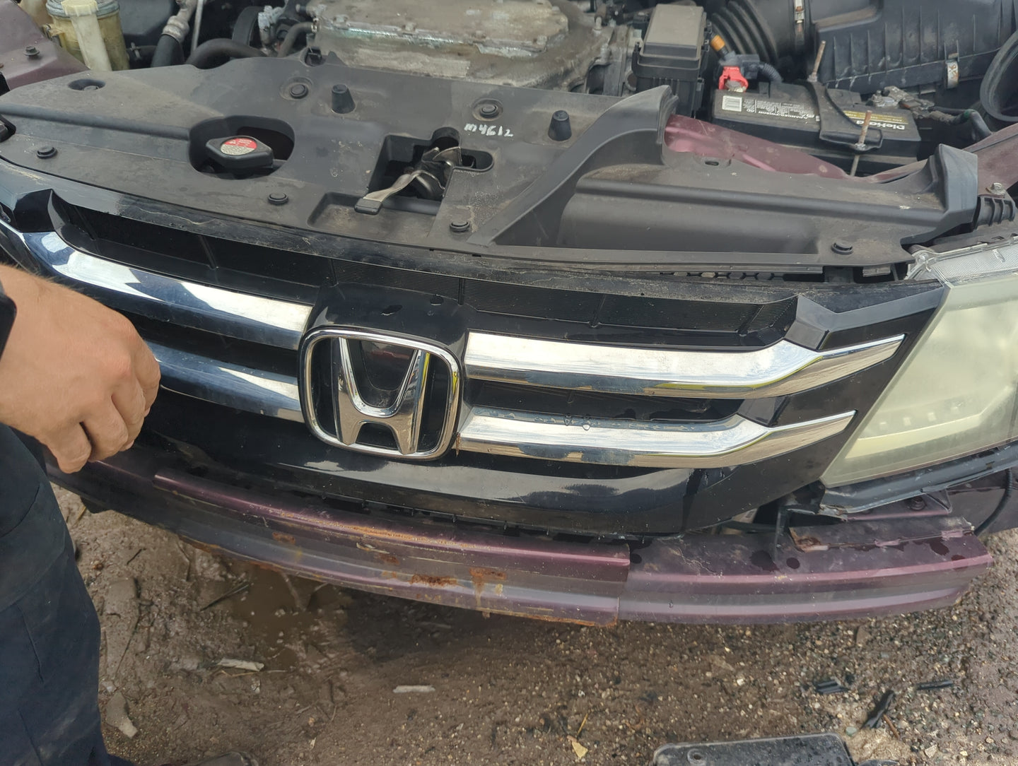 2014-2017 Honda Odyssey Front Grille Bumper Not Included - Oemusedautoparts1.com