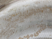 2015 Toyota Tacoma Torque Converter Automatic Transmission OEM Fits OEM Used Auto Parts - Oemusedautoparts1.com