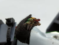 2016 Cadillac Xts Instrument Cluster Speedometer Gauges P/N:84054556 Fits OEM Used Auto Parts - Oemusedautoparts1.com