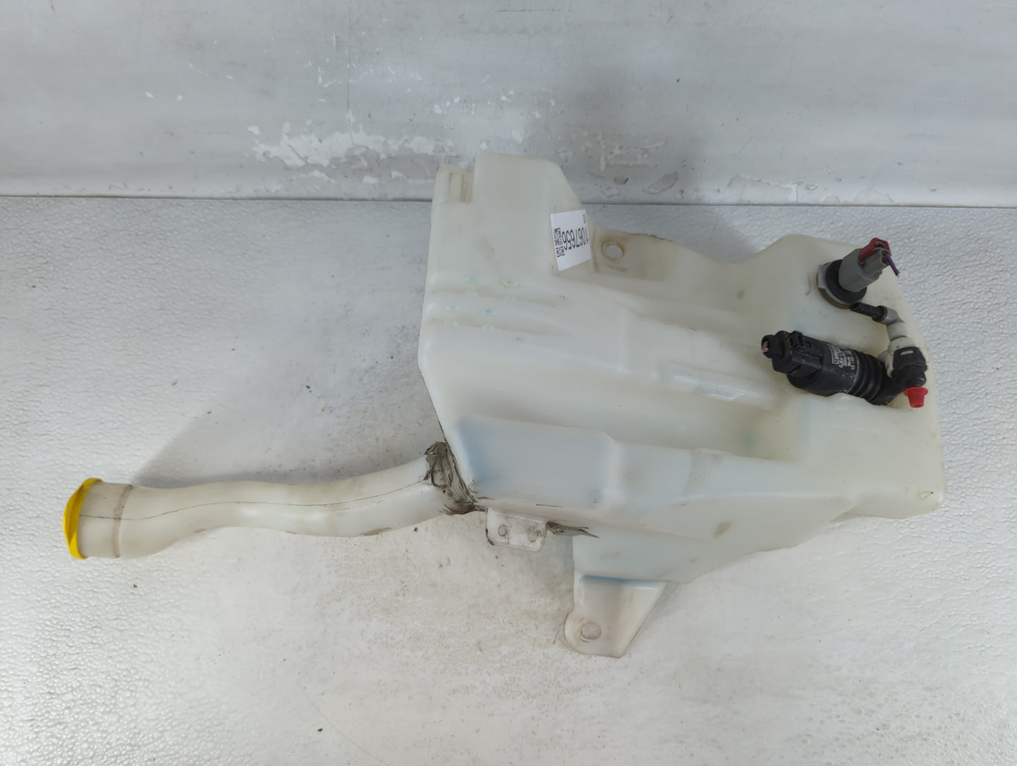 2015-2019 Ford Escape Windshield Washer Fluid Reservoir Bottle Oem - Oemusedautoparts1.com