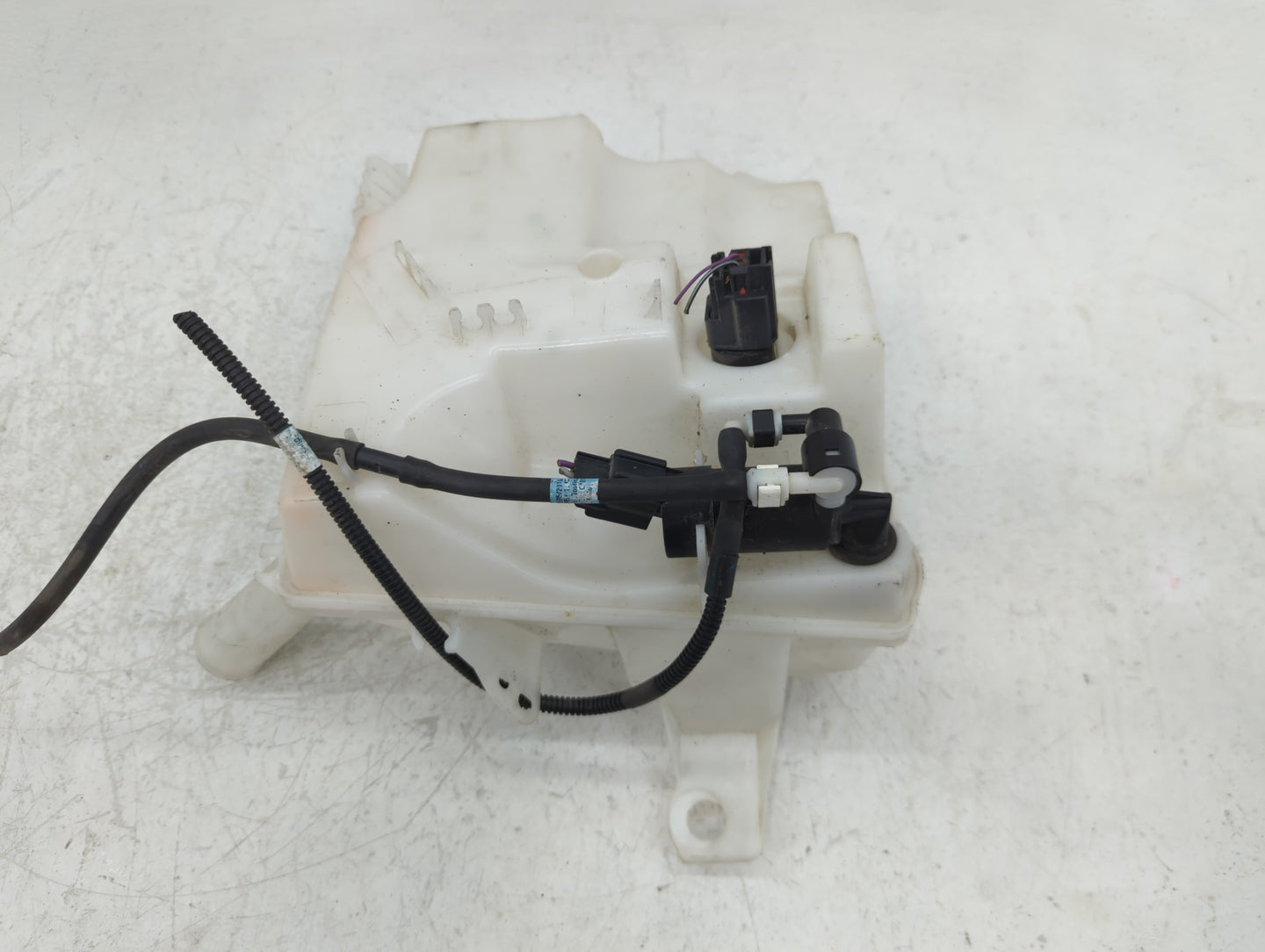 2012-2018 Ford Focus Windshield Washer Fluid Reservoir Bottle Oem - Oemusedautoparts1.com