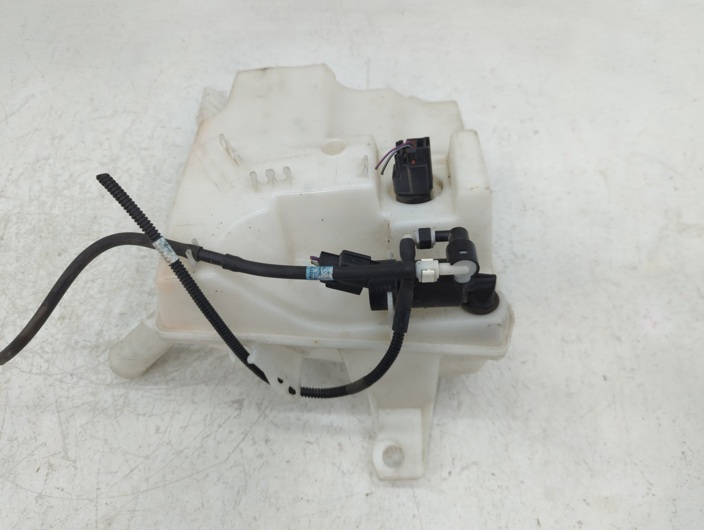 2012-2018 Ford Focus Windshield Washer Fluid Reservoir Bottle Oem - Oemusedautoparts1.com