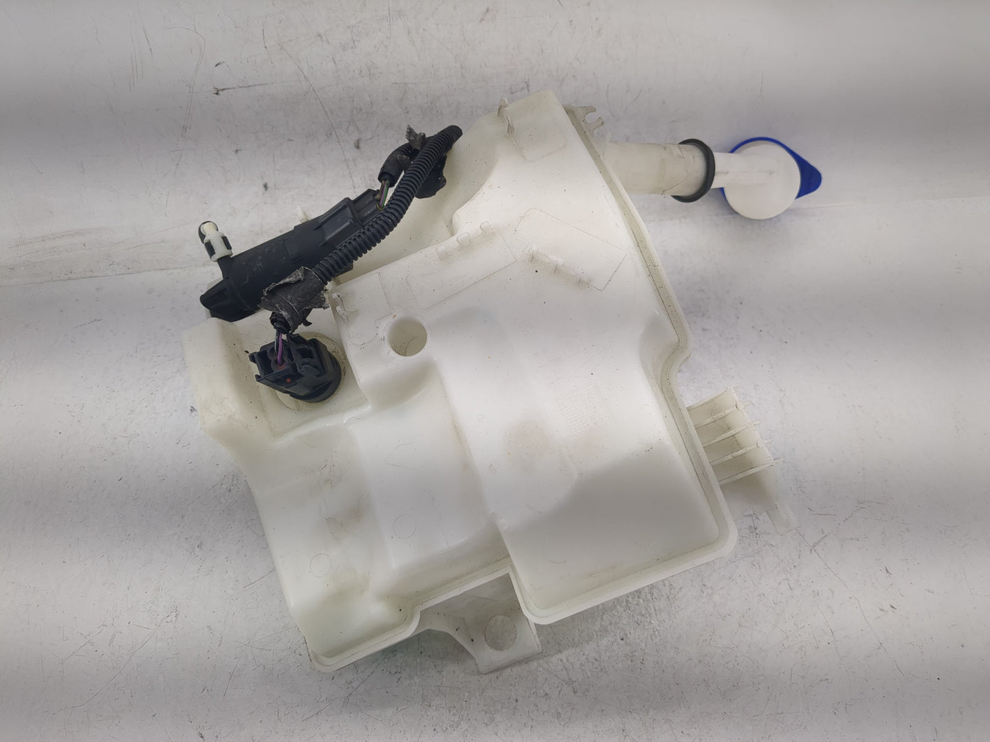2012-2018 Ford Focus Windshield Washer Fluid Reservoir Bottle Oem - Oemusedautoparts1.com
