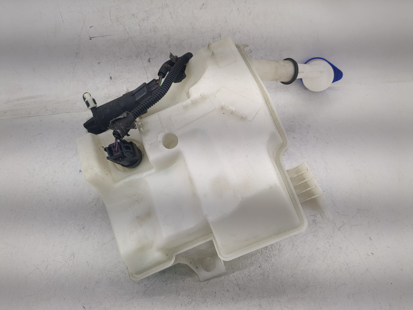 2012-2018 Ford Focus Windshield Washer Fluid Reservoir Bottle Oem - Oemusedautoparts1.com