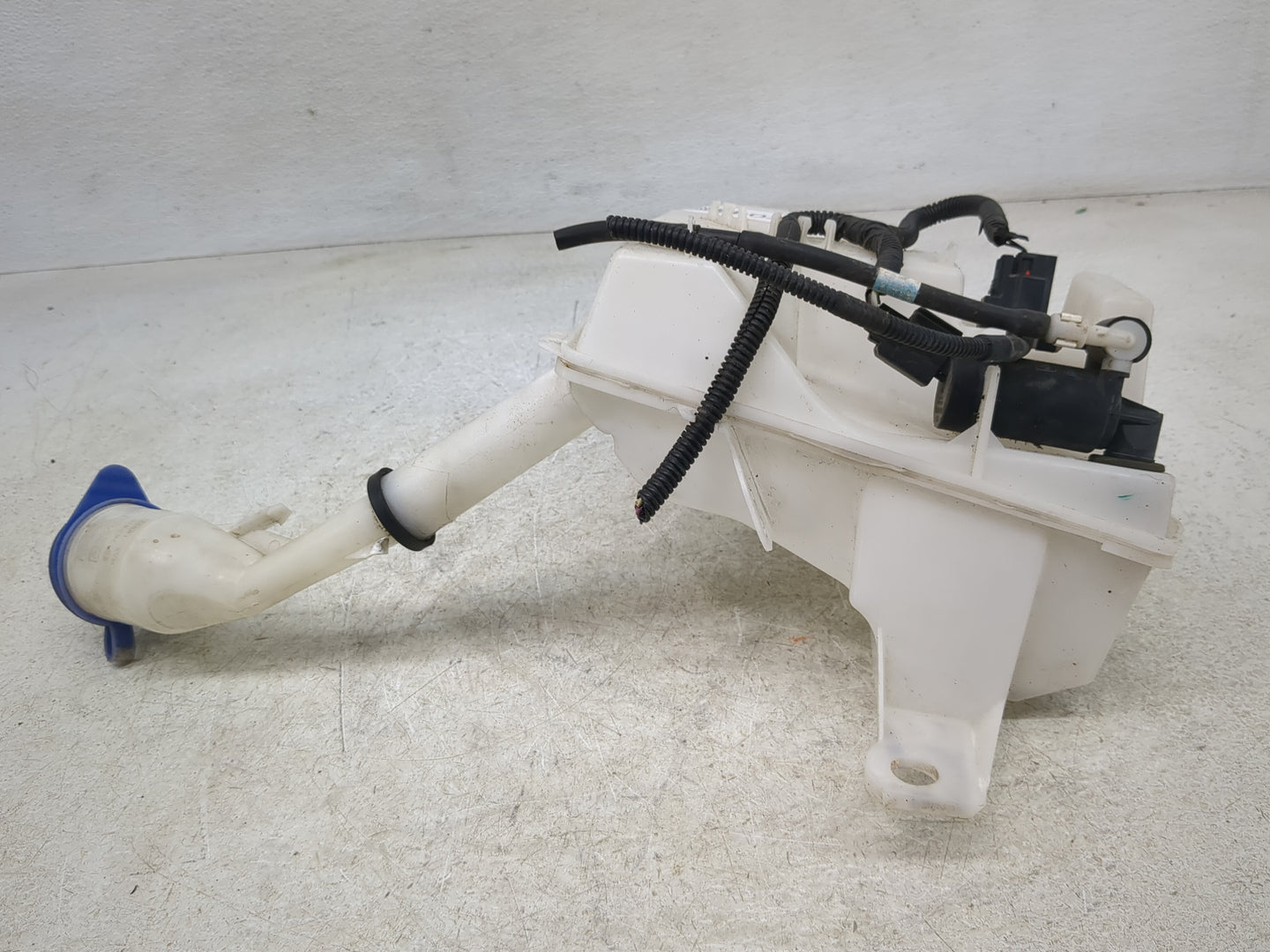 2012-2018 Ford Focus Windshield Washer Fluid Reservoir Bottle Oem - Oemusedautoparts1.com