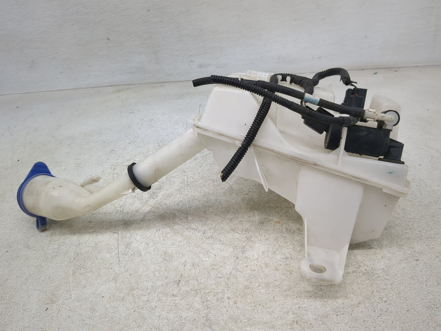 2012-2018 Ford Focus Windshield Washer Fluid Reservoir Bottle Oem - Oemusedautoparts1.com