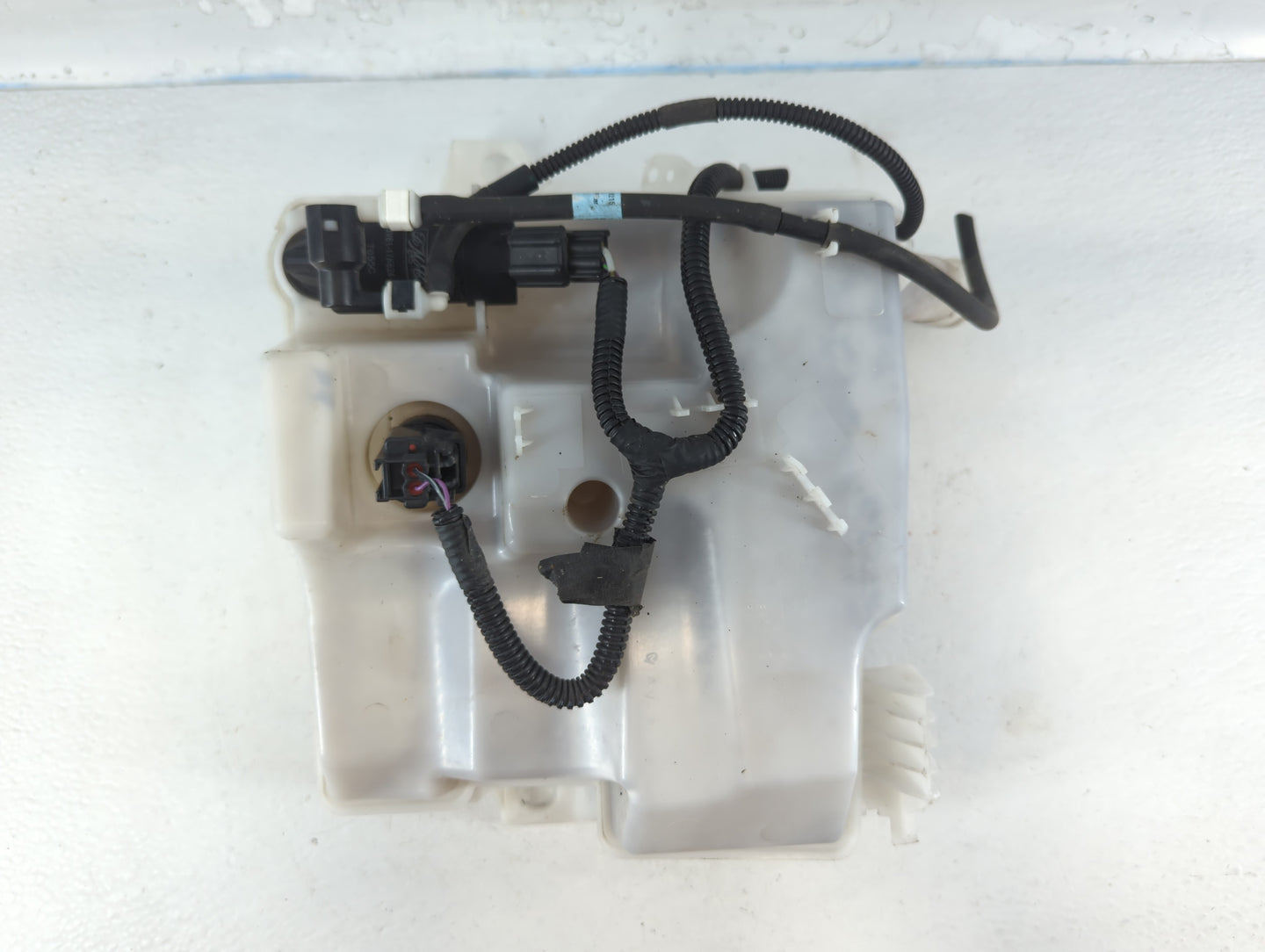 2012-2018 Ford Focus Windshield Washer Fluid Reservoir Bottle Oem - Oemusedautoparts1.com