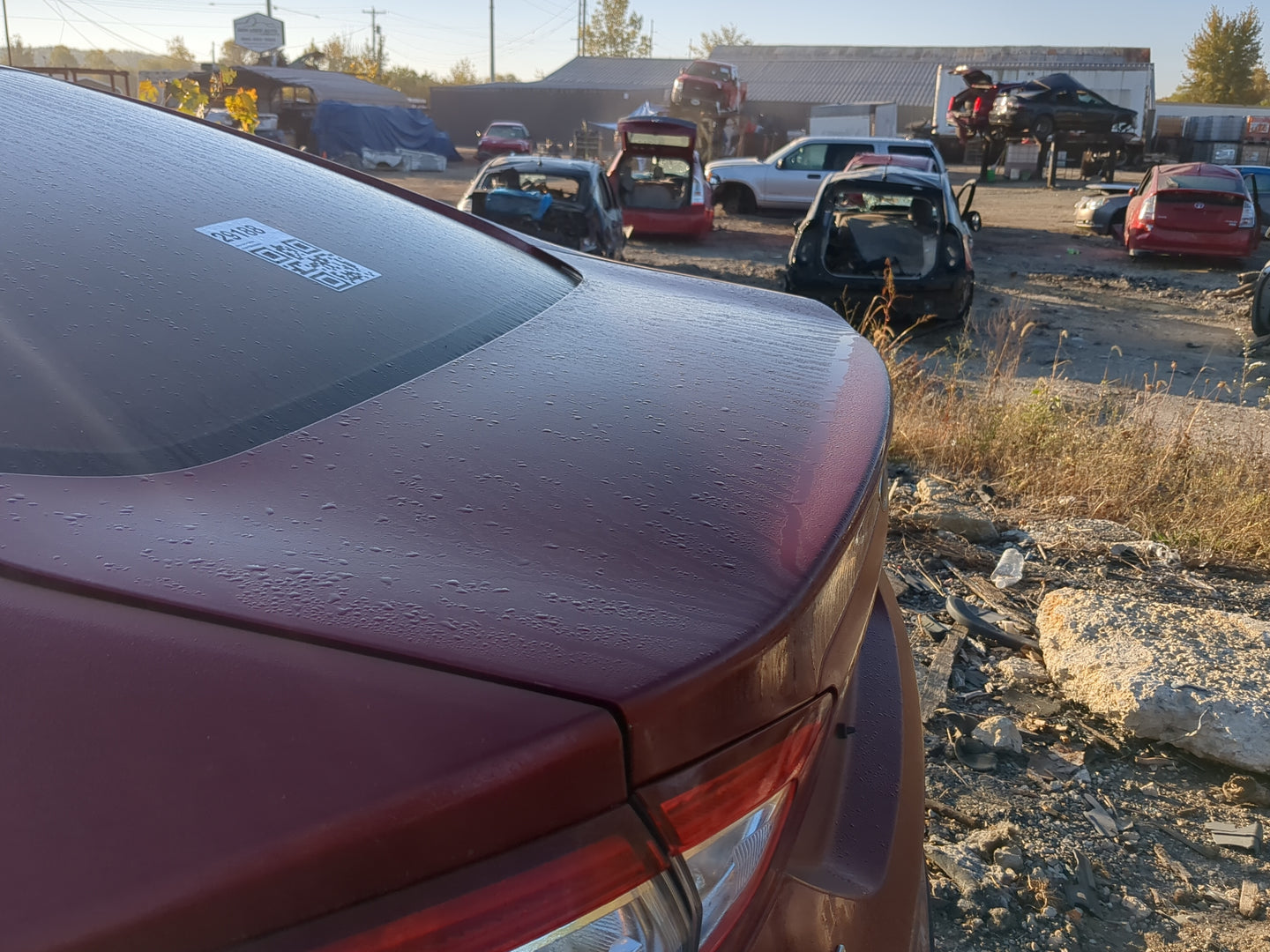 2013-2016 Ford Fusion Trunk/decklid/hatch/tailgate Oem 1197952 - Oemusedautoparts1.com