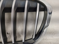 2016-2019 Bmw X1 Front Grille Bumper Not Included 1459916 - Oemusedautoparts1.com
