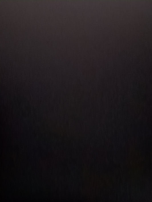 2017-2019 Ford Escape Driver Side View Mirror - Left Door Mirror OEM Used - Oemusedautoparts1.com