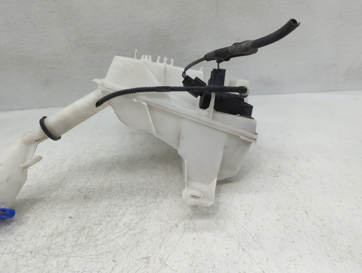 2012-2018 Ford Focus Windshield Washer Fluid Reservoir Bottle Oem - Oemusedautoparts1.com