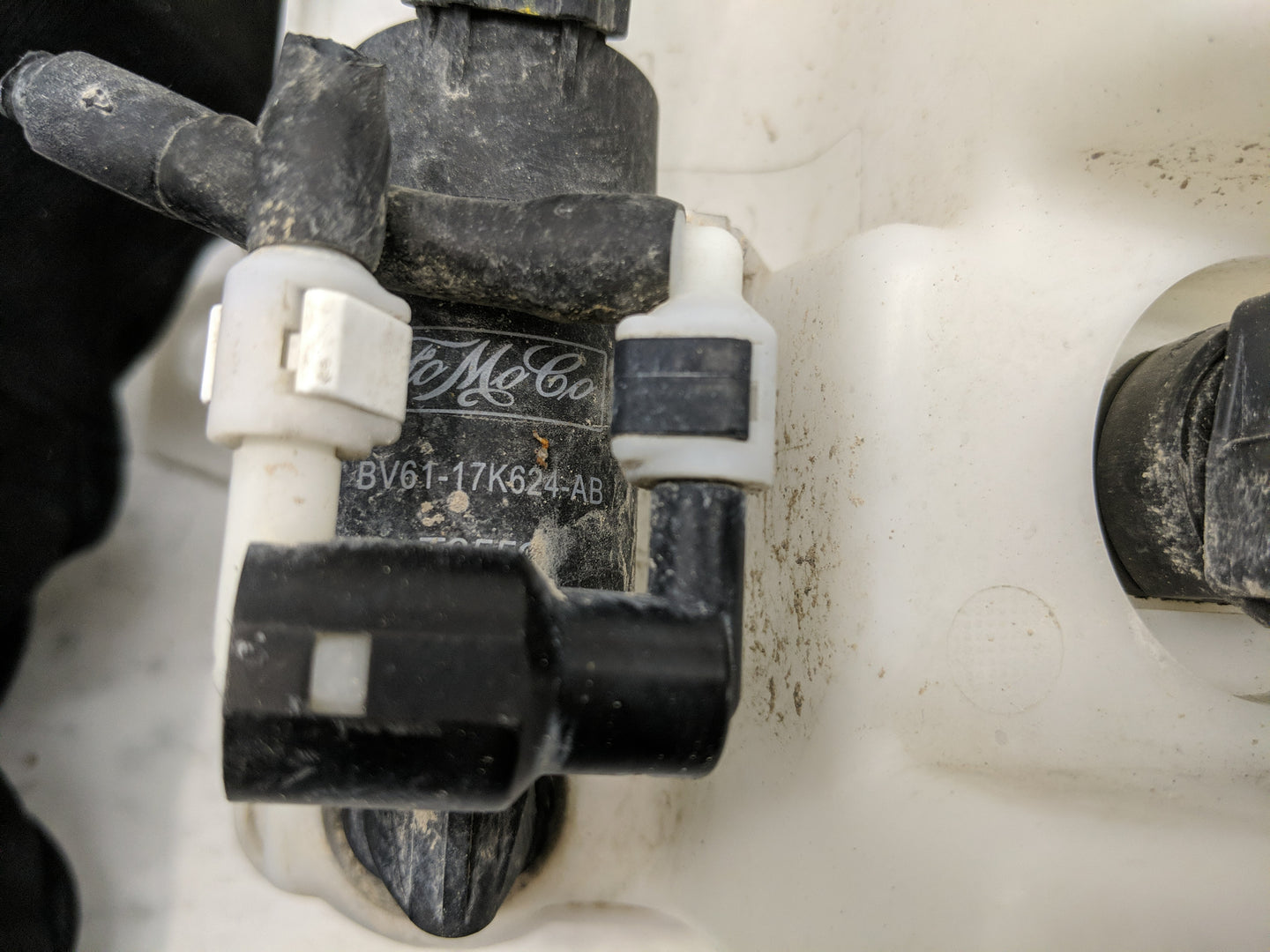 2012-2018 Ford Focus Windshield Washer Fluid Reservoir Bottle Oem - Oemusedautoparts1.com