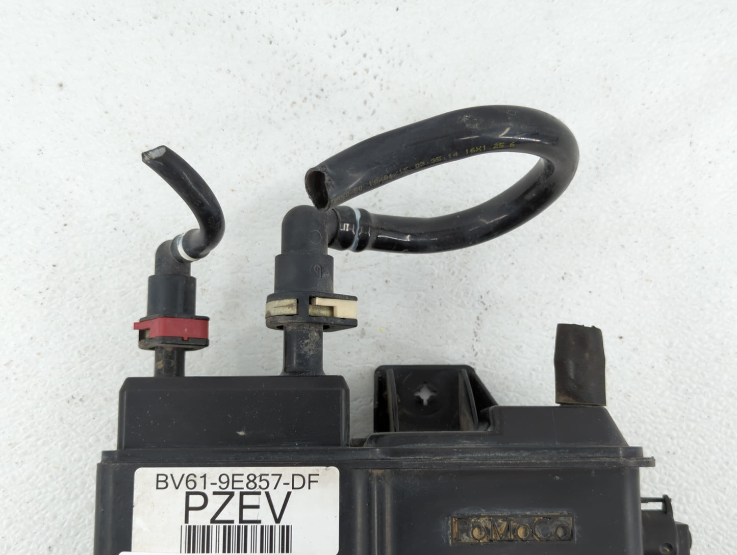 2017 Ford Focus Fuel Vapor Charcoal Canister - Oemusedautoparts1.com