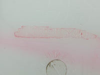2011-2017 Honda Odyssey Windshield Washer Fluid Reservoir Bottle Oem - Oemusedautoparts1.com