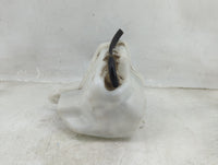 2013 Hyundai Veloster Radiator Coolant Overflow Expansion Tank Bottle 1459546 - Oemusedautoparts1.com