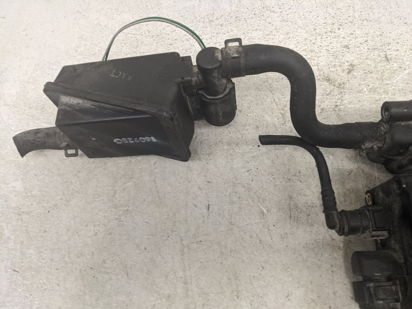 2017 Hyundai Veloster Fuel Vapor Charcoal Canister 1462273 - Oemusedautoparts1.com