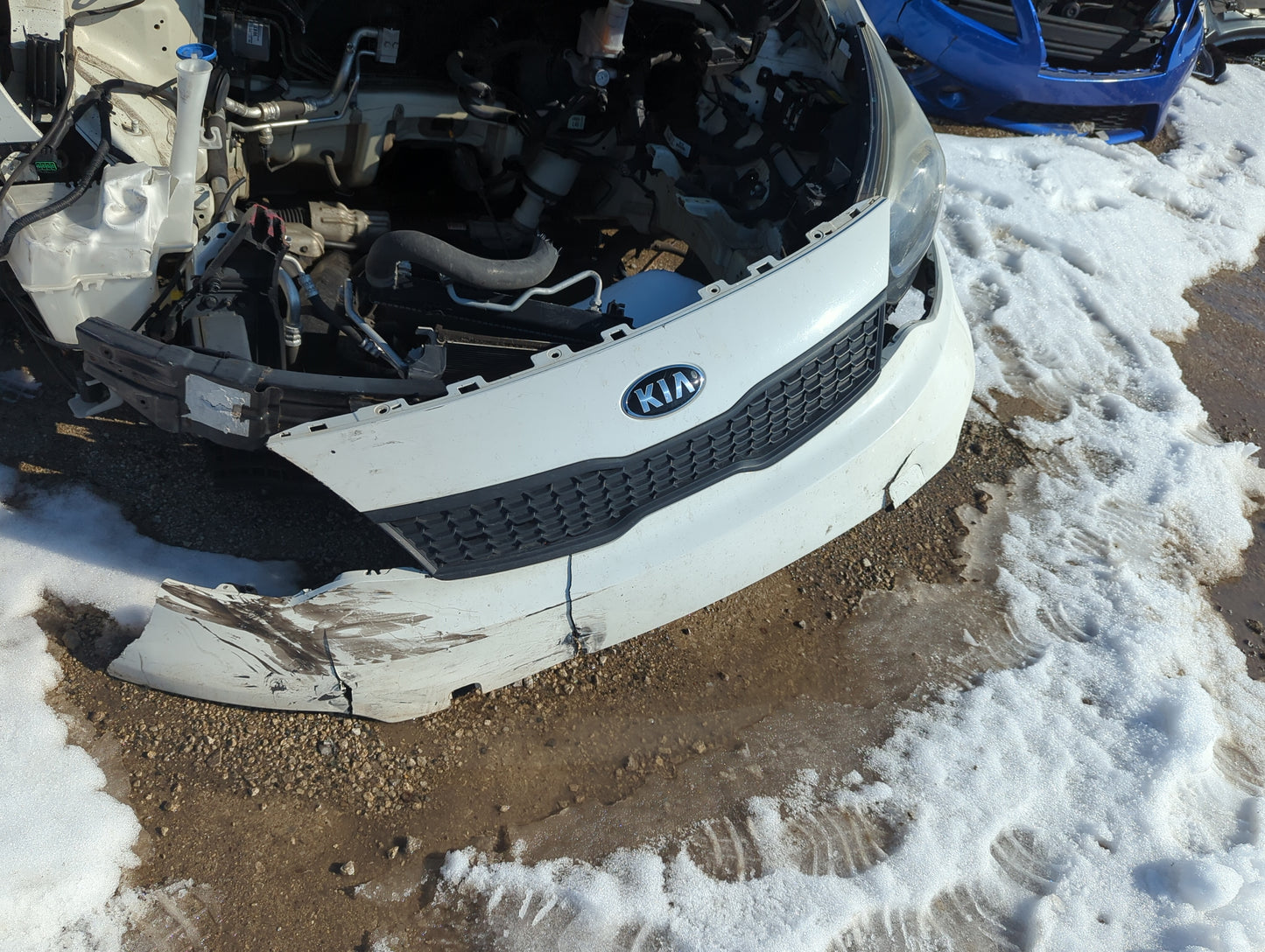 2016-2017 Kia Rio Front Grille Bumper Not Included 1256628 - Oemusedautoparts1.com