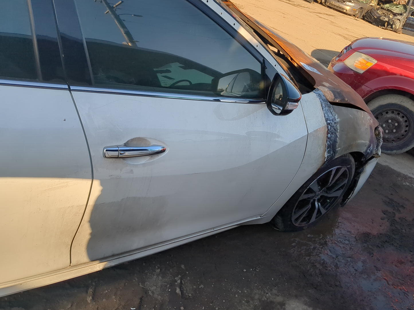 2016-2020 Nissan Maxima Passenger Front Door Oem - Oemusedautoparts1.com