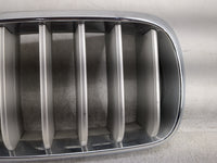 2014-2018 Bmw X5 Front Grille Bumper Not Included 1459993 - Oemusedautoparts1.com