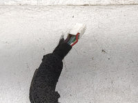 2018 Mazda Mazda3 Driver Side View Mirror - Left Door Mirror OEM Used - Oemusedautoparts1.com