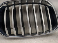 2018-2019 Bmw X3 Front Grille Bumper Not Included 1460030 - Oemusedautoparts1.com