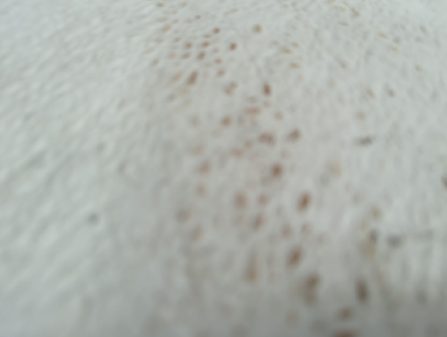 2003-2020 Toyota Corolla Spare Donut Tire Wheel Rim Oem - Oemusedautoparts1.com