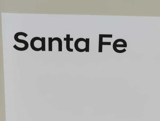 2020 Hyundai Santa Fe Owners Manual Book Guide P/N:LS2U-EU97B OEM Used Auto Parts